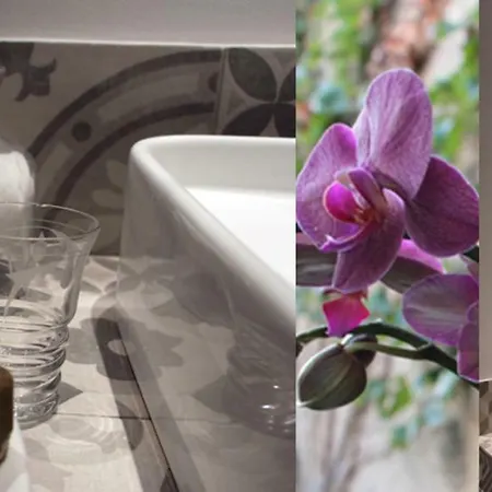 Bed & Breakfast Chambres D'hotes Cosy *